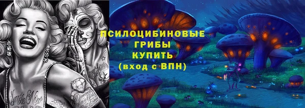 мдпв Горно-Алтайск